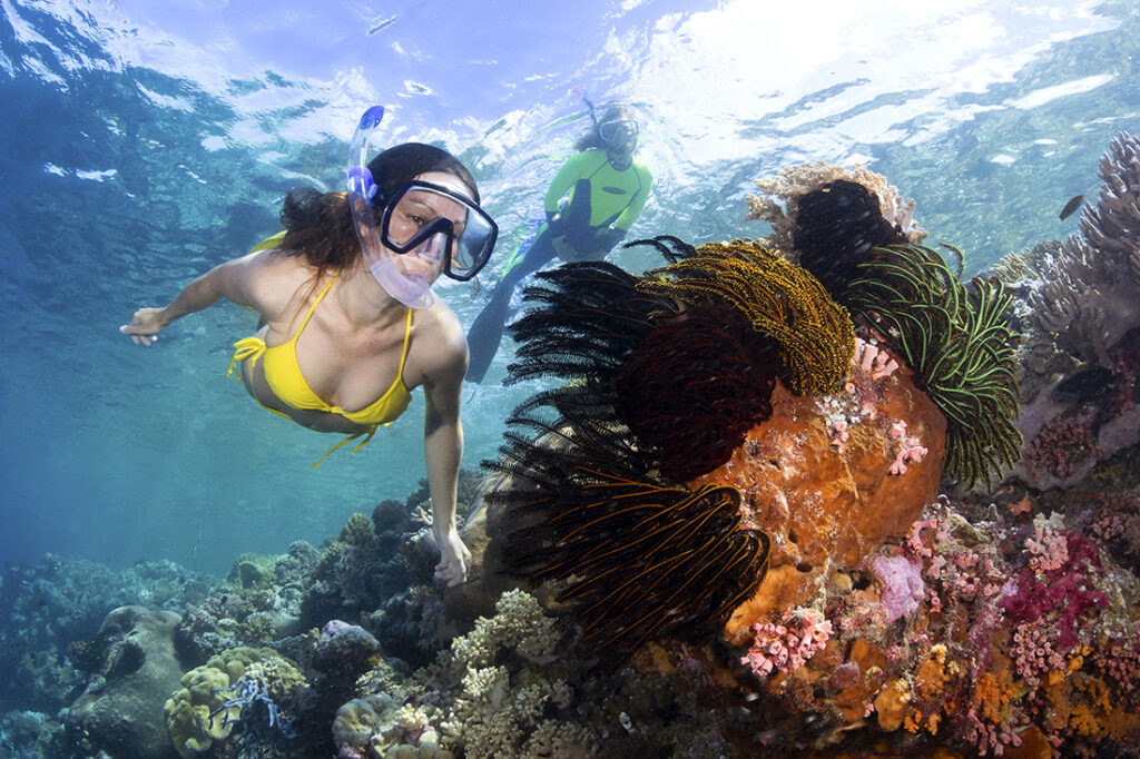 Snorkeling Sri Lanka